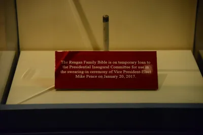 DSC_1133 (Large).JPG